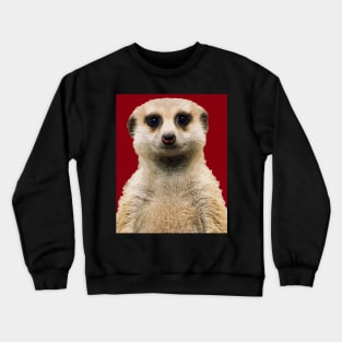 meerkat Crewneck Sweatshirt